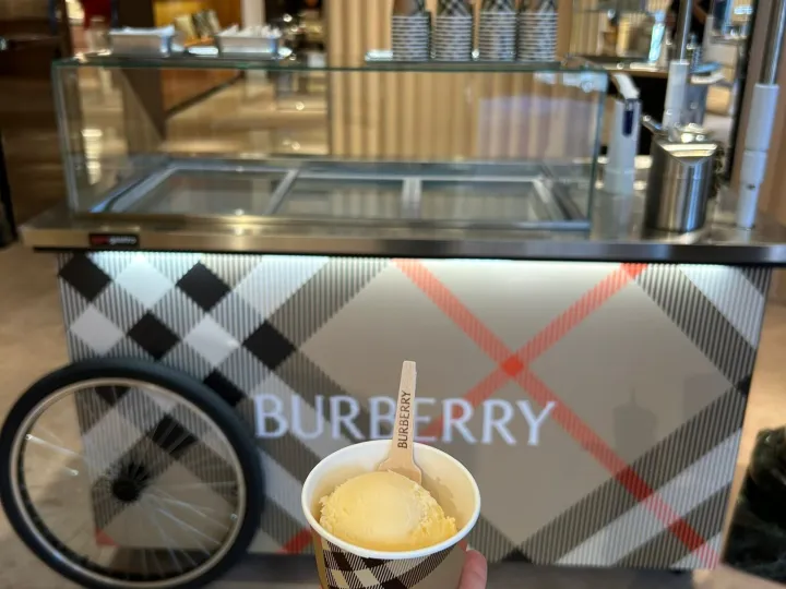 Tarrina de helado personalizada con el estampado de la marca y palita de madera