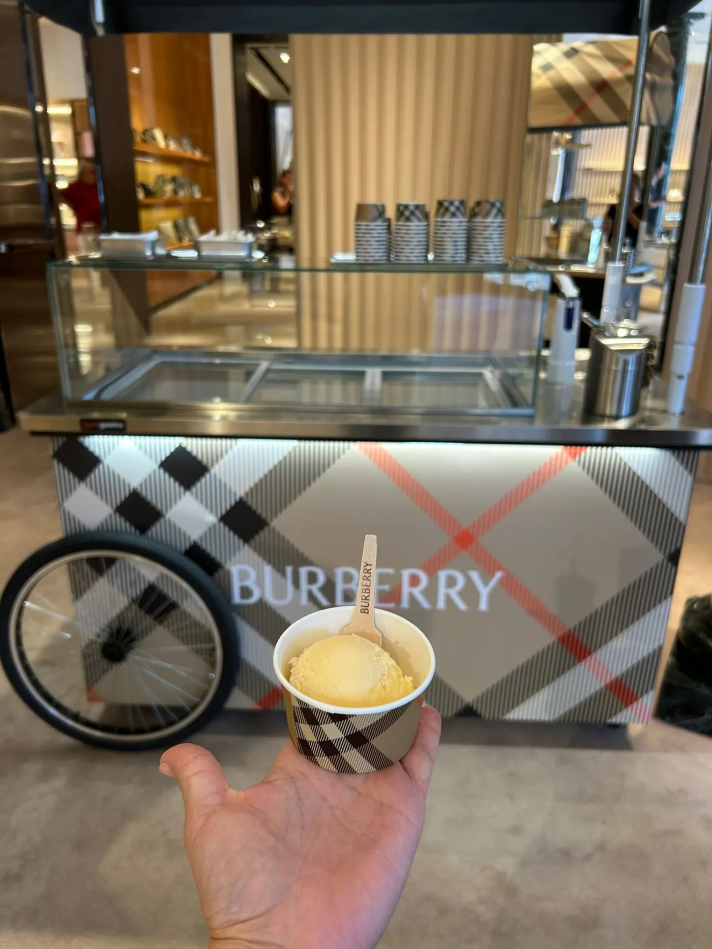 Tarrina de helado personalizada con el estampado de la marca y palita de madera